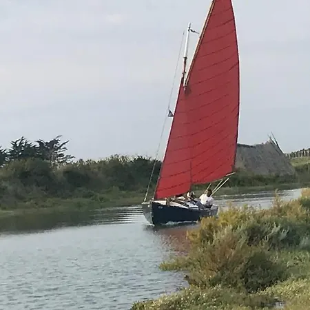 Maison De Village Et Jardin , A Sur Seudre *