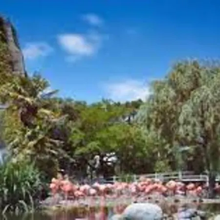 Maison De Village Et Jardin , A Sur Seudre