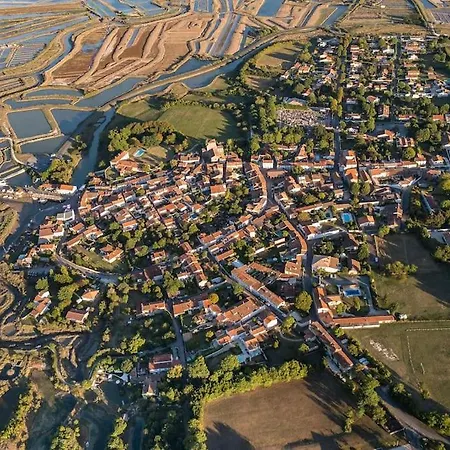 Maison De Village Et Jardin , A Sur Seudre *