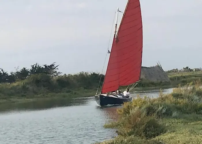 Maison De Village Et Jardin , A Sur Seudre *