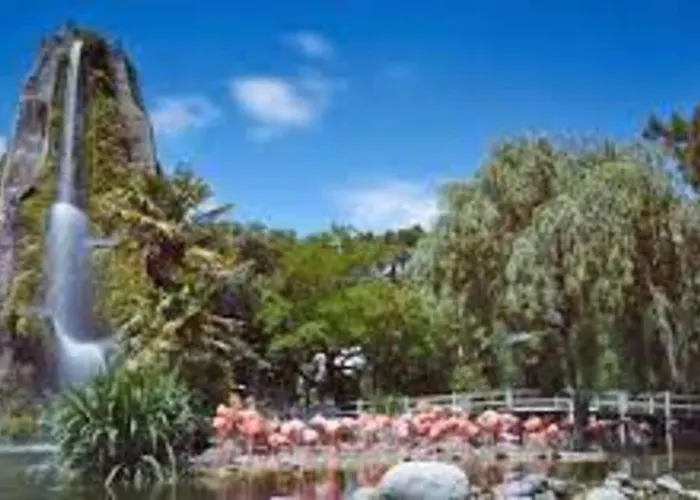 Maison De Village Et Jardin , A Sur Seudre