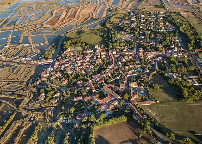 Maison De Village Et Jardin , A Sur Seudre *